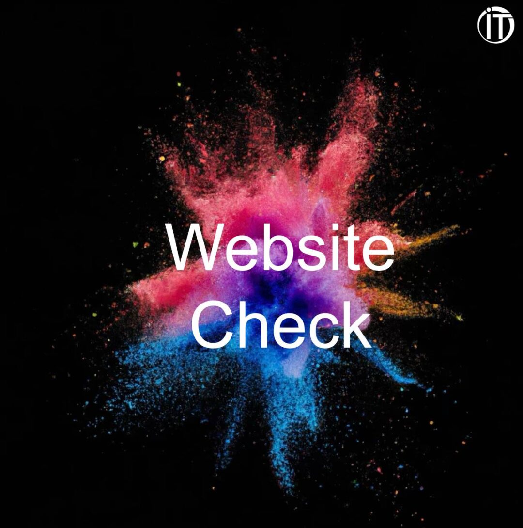 Website-Check