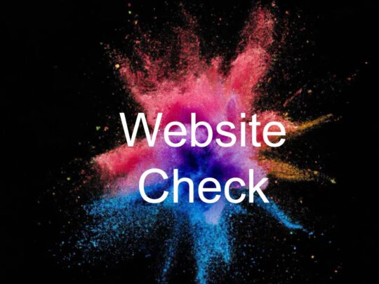 Website-Check